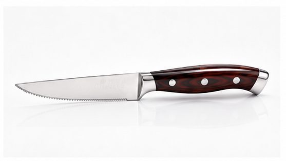 10 Best Steak Knife Reviews By Consumer Guide for 2022